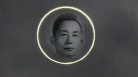 逗小猴开心系列178